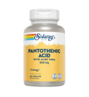 Pantothenic Acid 500mg 100 Cápsulas - Solaray