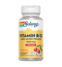 Vitamin B12 con ácido fólico 1000 mcg 90 Cápsulas - Solaray