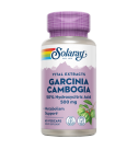 Garcinia Cambogia 500mg 60 VegCaps - Solaray