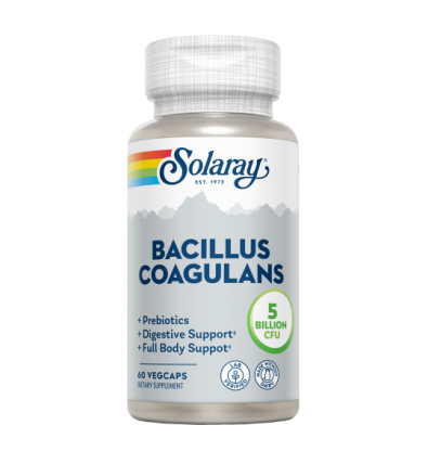 Bacillus Coagulans 60 VegCaps - Solaray