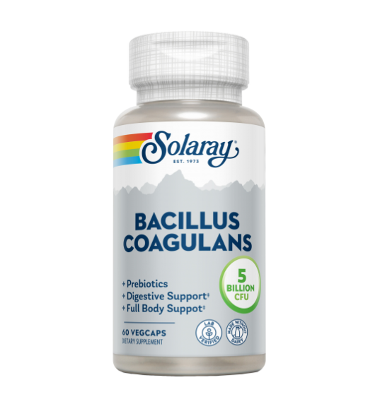 Bacillus Coagulans 60 VegCaps - Solaray