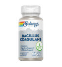 Bacillus Coagulans 60 VegCaps - Solaray