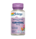 Super Turmeric 300mg 30 VegCaps - Solaray