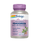 Fenugreek (Fenogreco) 700mg 90 VegCaps - Solaray