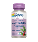 Mastic Gum 1kg 45 VegCaps - Solaray