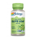 Olive Leaf 410mg 100 VegCaps - Solaray