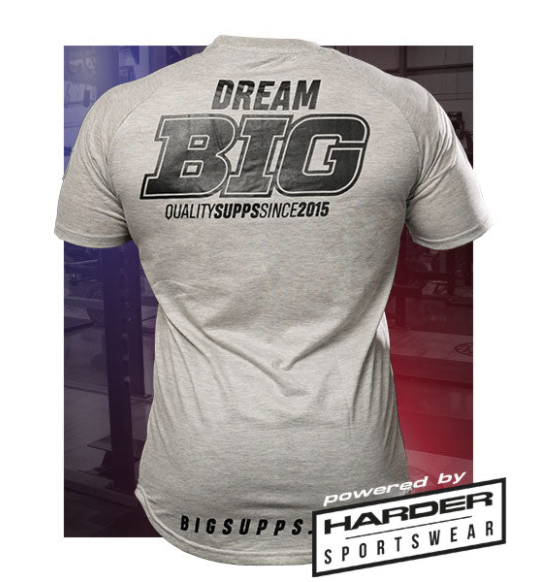 Camiseta Gris Hombre - BIG