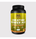 Creatine Power Mix 1kg - Gold Nutrition