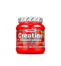 Creatina Monohidrato 300gr - Amix