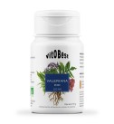 Valeriana BIO 45 Cápsulas - VitoBest